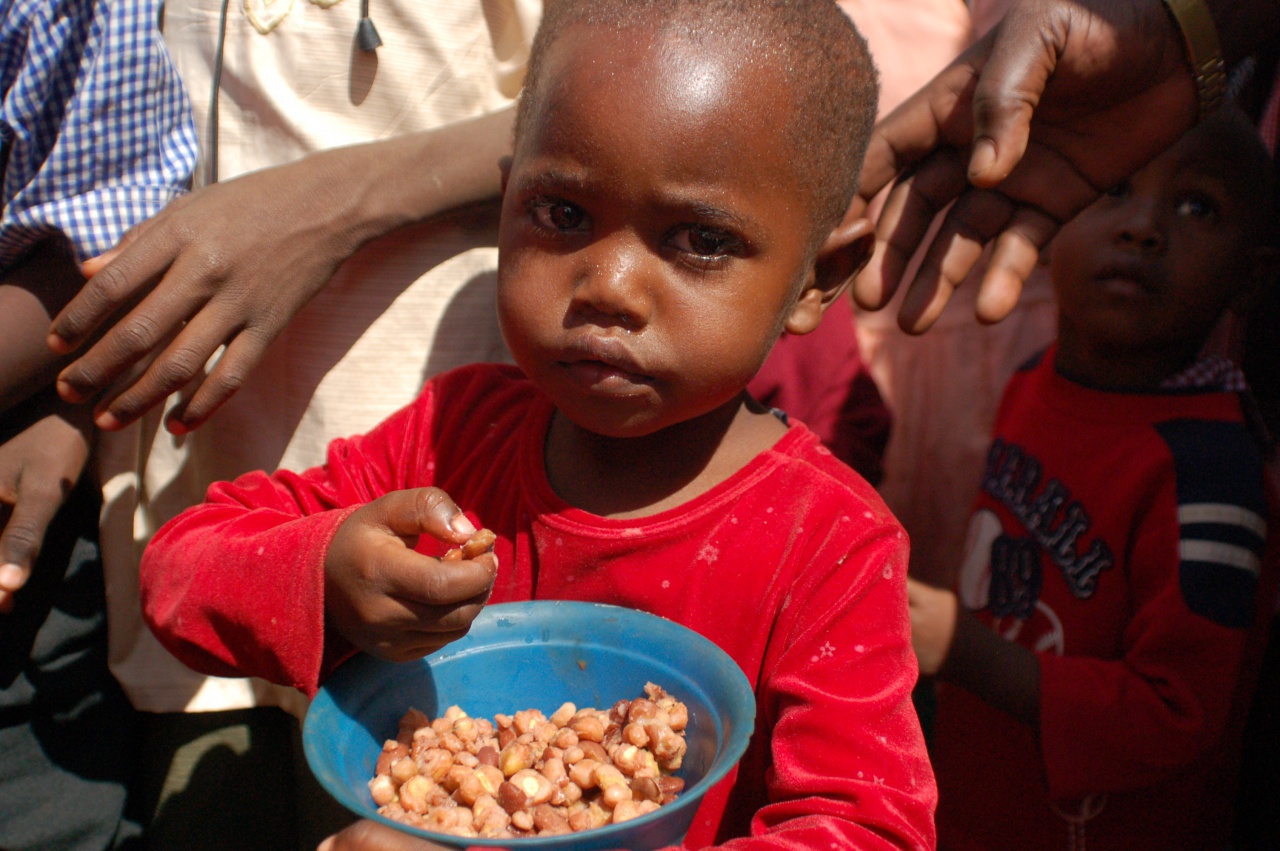 全世界饥饿人口_非洲饥饿儿童图片(3)_世界人口网